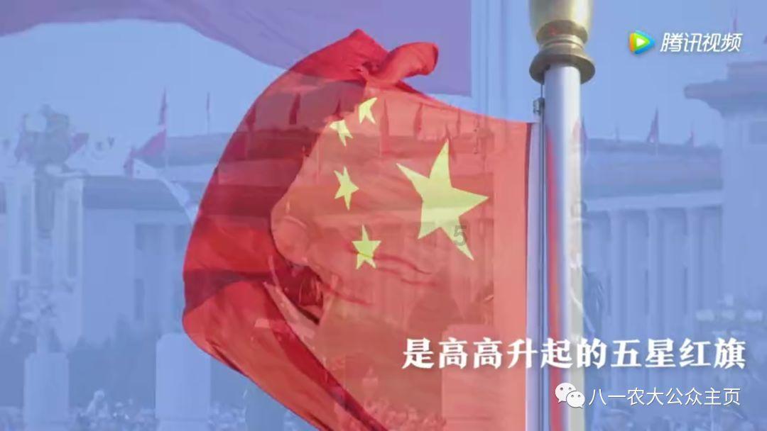 为什么兽医不让猫吃生骨肉红迪网 - 探索兴趣、分享交流的社区平台